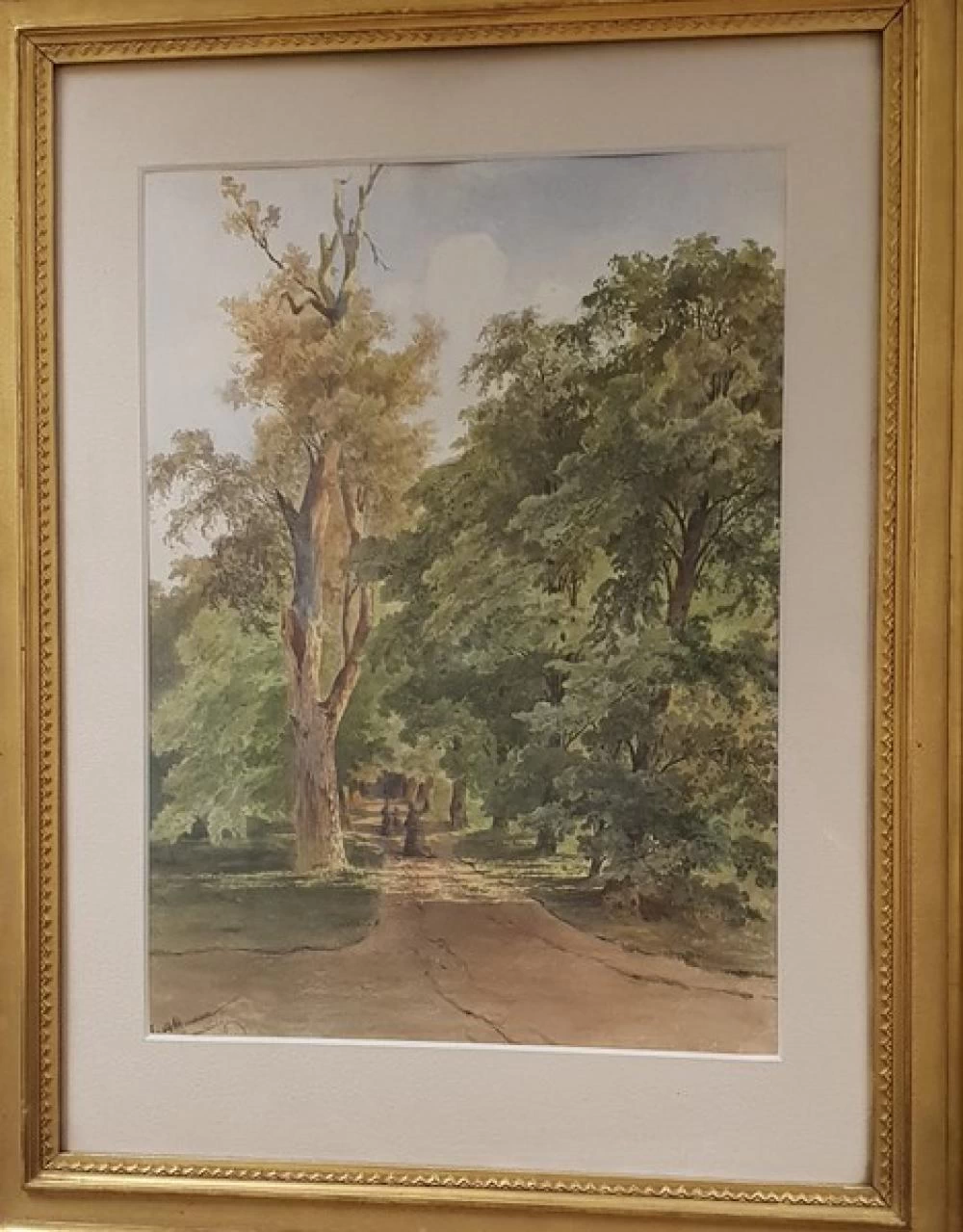Paesaggio forestale con escursionisti